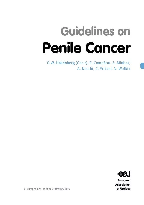 Guidelines onPenile CancerO.W. Hakenberg (Chair), E. Comp