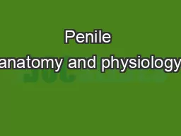 Penile anatomy and physiology