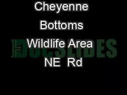 Cheyenne Bottoms Wildlife Area  NE  Rd