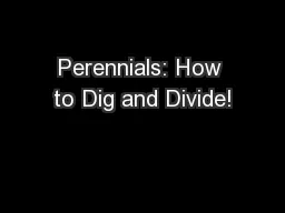 Perennials: How to Dig and Divide!