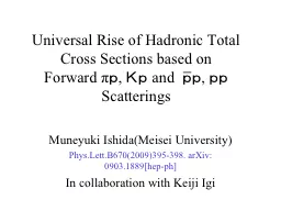Universal Rise of Hadronic Total Cross Sections based on
