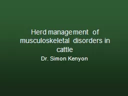 Herd management of musculoskeletal disorders in cattle