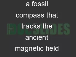 the palaeomagnetic method a rocks rema nent magnetism is a fossil compass that tracks