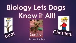 Biology Lets Dogs