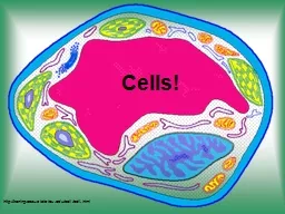 Cells!