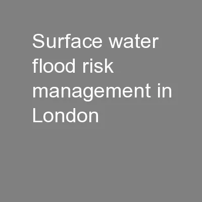 Surface water flood risk management in London