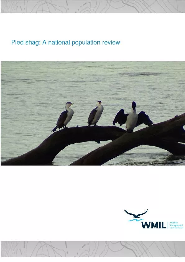 Pied shag: A national population review