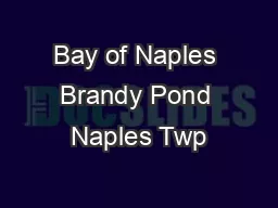 Bay of Naples Brandy Pond Naples Twp