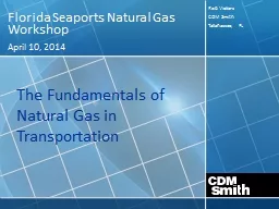 Florida Seaports Natural Gas Workshop