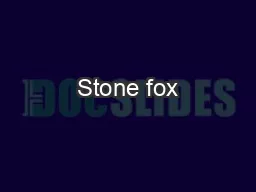 Stone fox