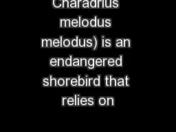 Charadrius melodus melodus) is an endangered shorebird that relies on