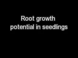 Root growth potential in seedlings