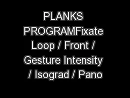 PLANKS PROGRAMFixate Loop / Front / Gesture Intensity / Isograd / Pano
