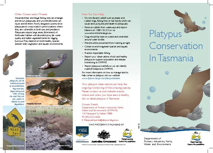 ConservationIn TasmaniaHow You Can Help:Do not discard rubbish such as