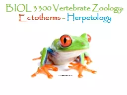 BIOL 3300 Vertebrate Zoology: