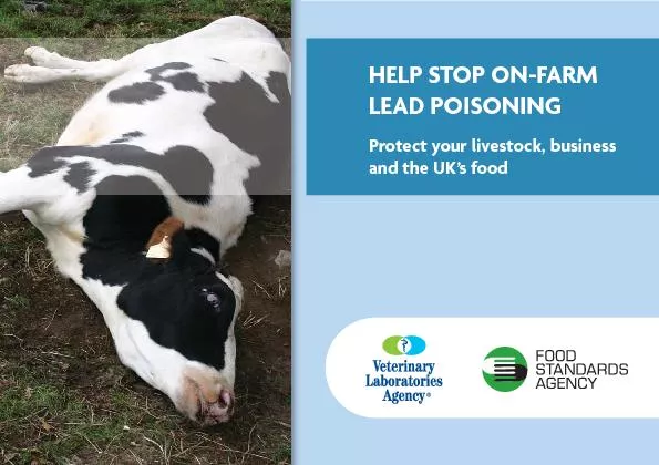 Further informationTests for lead in livestock, produce or soil are in