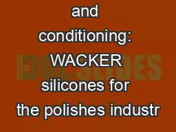 Protection and conditioning: WACKER silicones for the polishes industr