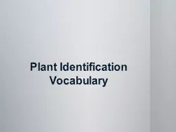Plant Identification Vocabulary