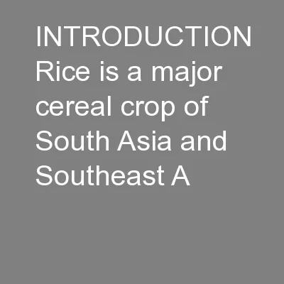 INTRODUCTION Rice is a major cereal crop of South Asia and Southeast A