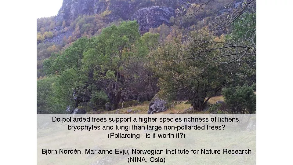 Do pollarded trees support a higher species richness of lichens, 
...
