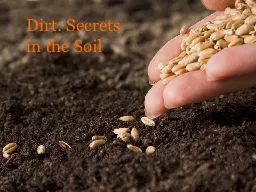 Dirt: Secrets in the Soil