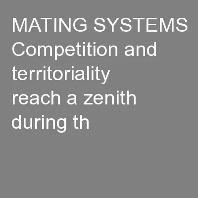 MATING SYSTEMS Competition and territoriality reach a zenith during th