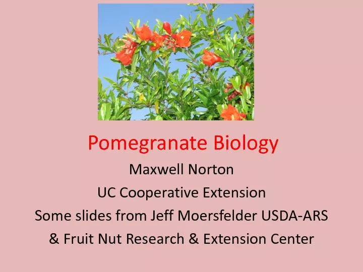 Pomegranate Biology