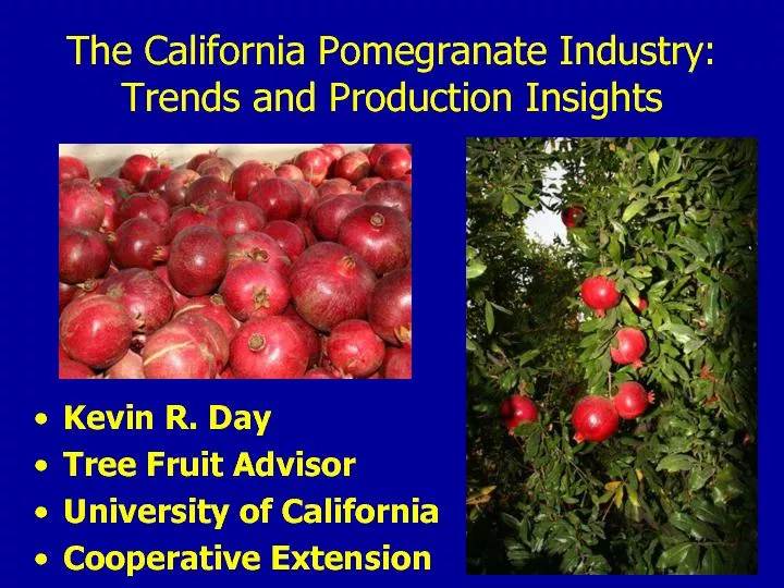 The California Pomegranate Industry: