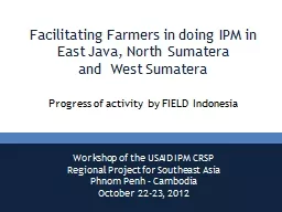 Facilitating Farmers in doing IPM in East Java, North Sumat