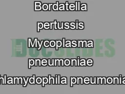 Bordatella pertussis Mycoplasma pneumoniae Chlamydophila pneumoniae