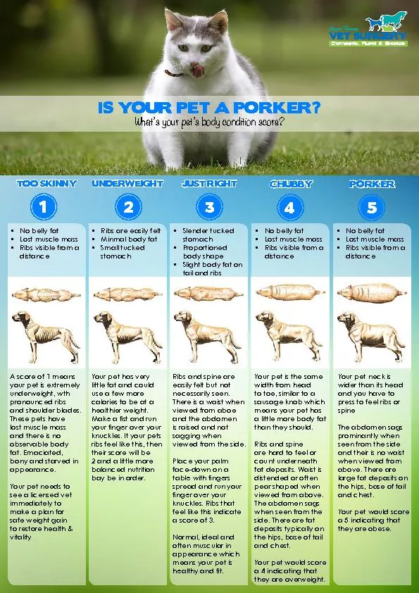 IS YOUR PET A PORKER?