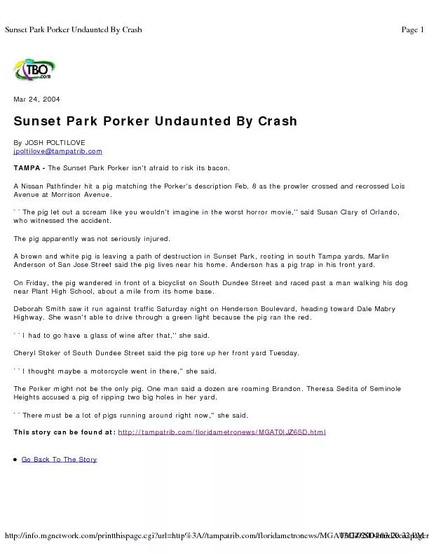 Sunset Park Porker Undaunted By CrashPage 1