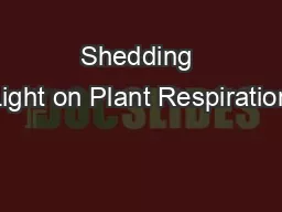 Shedding Light on Plant Respiration