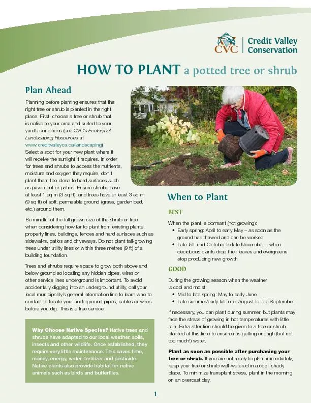 Planning before planting ensures that the right tree or shrub is plant