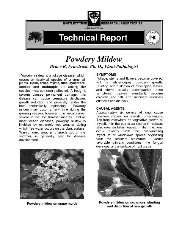 Powdery Mildew Bruce R. Fraedrich, Ph. D., Plant Pathologist  Powdery