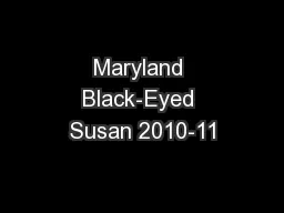 Maryland Black-Eyed Susan 2010-11