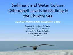 Sediment and Water Column Chlorophyll Levels and Salinity i