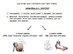 המעבדה לחקר המוח וההתנהגות – פר