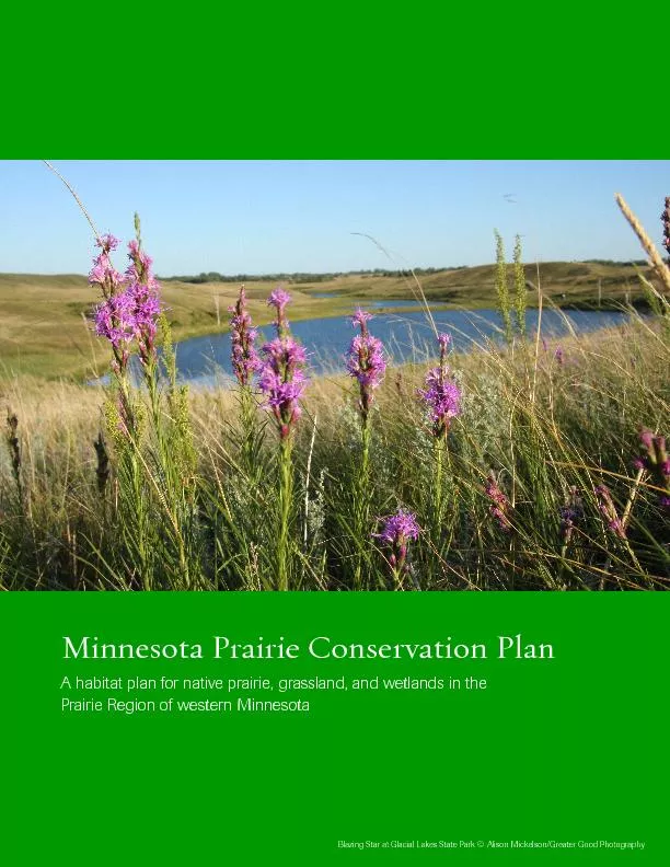 Minnesota Prairie Conservation Plan