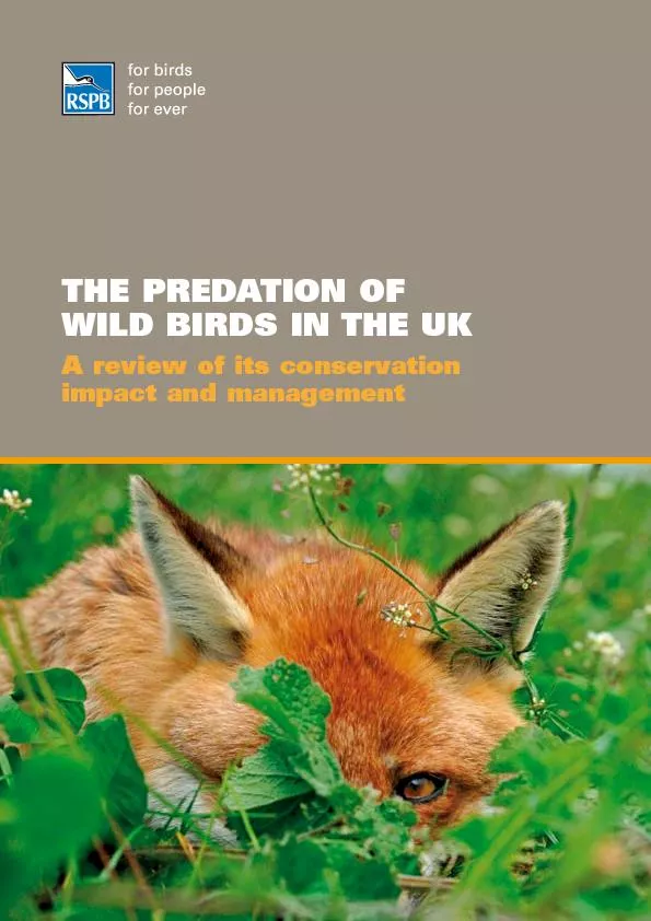 THE PREDATION OF WILD BIRDS IN THE UKA review of its conservation
...