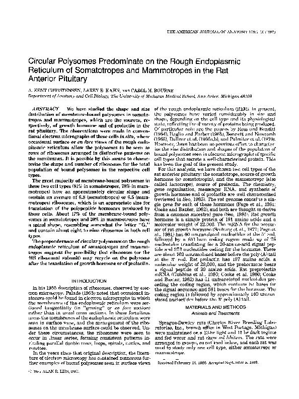 Pofysomes Predominate in the- E. KAHN, Cell Biology, Arbor, Michigan h