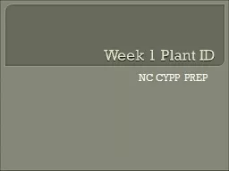 Week 1 Plant ID