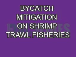 BYCATCH MITIGATION ON SHRIMP TRAWL FISHERIES