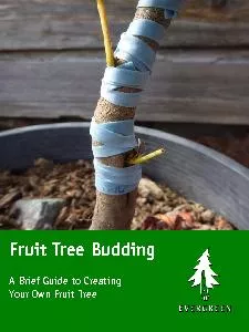 Fruit Tree Budding A Brief Guide to C reating Your Own Fruit Tree  These workshops and
