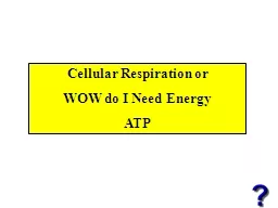 Cellular Respiration or