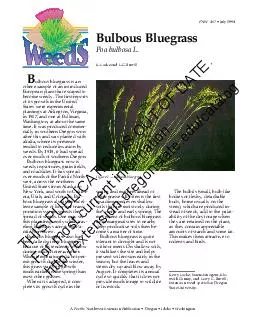 A Pacific Northwest Extension Publication  Oregon  Idaho  Washington ulbous bluegrass is an other example of an introduced European plant that escaped to become weedy