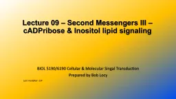 Lecture 09 – Second Messengers III –