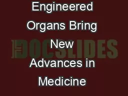 Engineered Organs Bring New Advances in Medicine – Wake Forest Ba