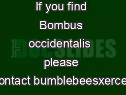 If you find Bombus occidentalis  please contact bumblebeesxerces