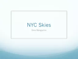 NYC Skies